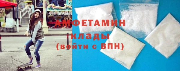 амф Горняк