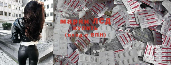 амф Горняк
