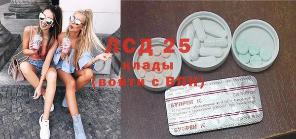 амф Горняк
