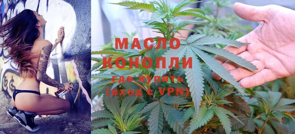амф Горняк