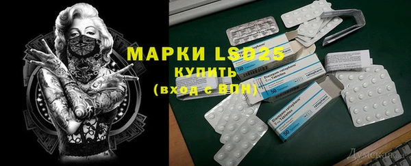 амф Горняк
